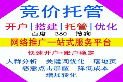 行业领先企业的SEM运营策略案例解析